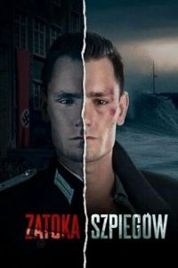 Сериал "Шпионский залив" ( 2024 )